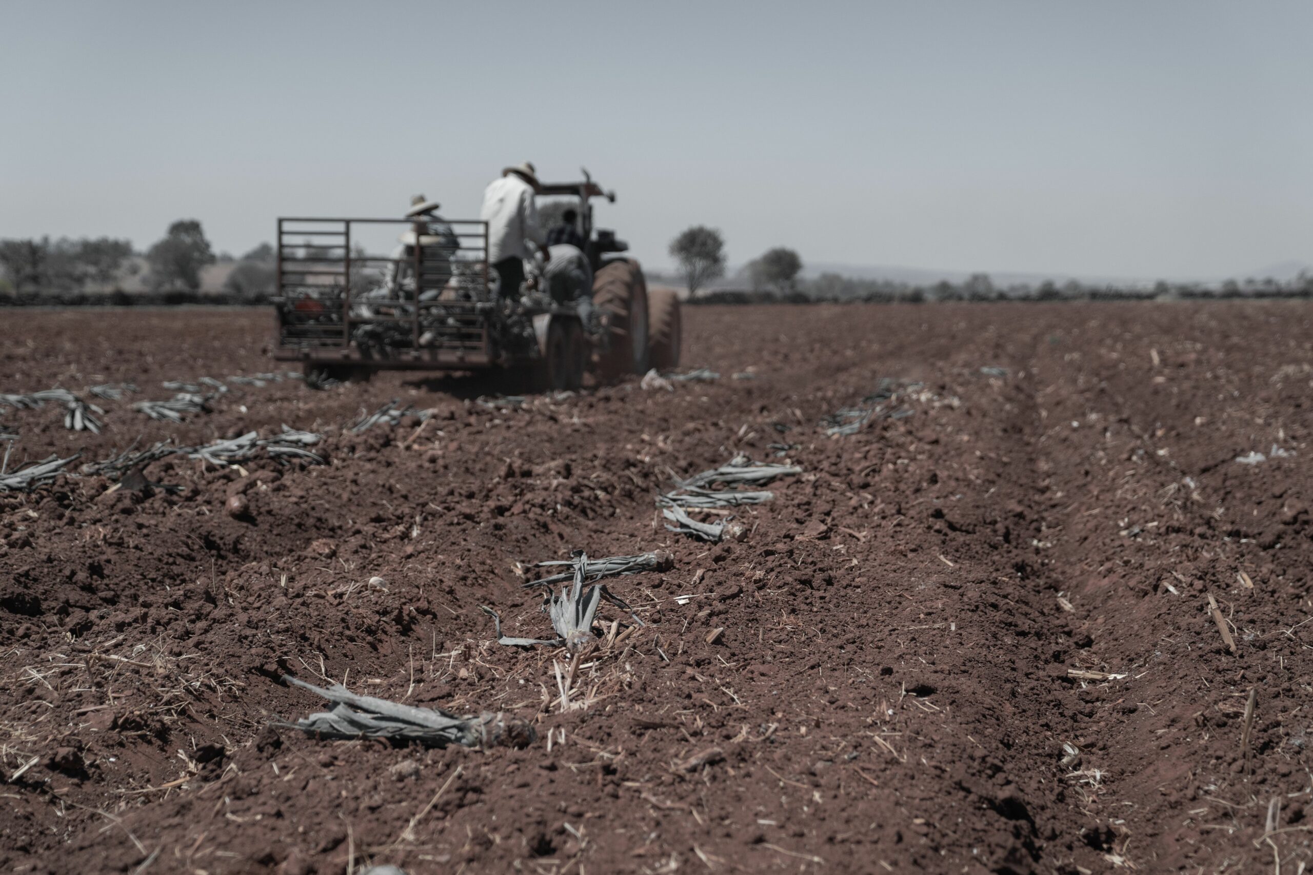 Agricultor ecuatoriano trabajando su tierra con maquinaria agrícola